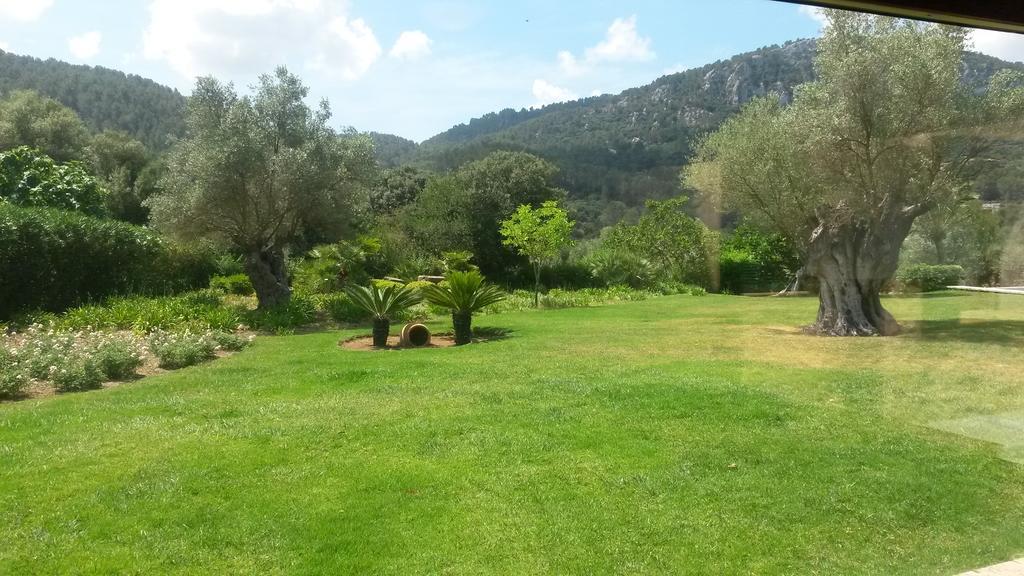 Villa Sa Tafona 