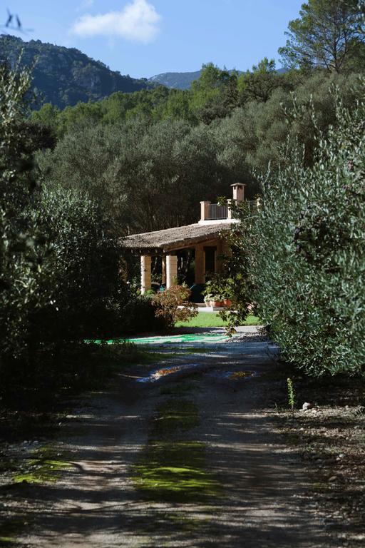 Villa Sa Tafona 